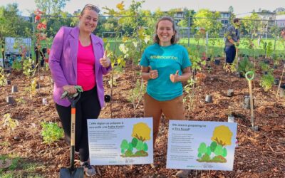 Bulletin communautaire – Automne 2025