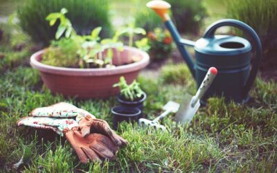 Mise à jour sur le jardinage dans la banquette