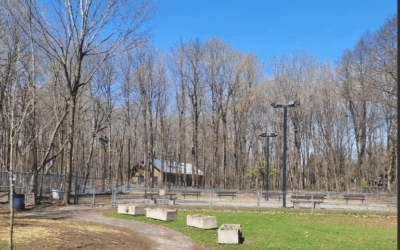 Améliorations aux terrains de pétanque du parc Richelieu
