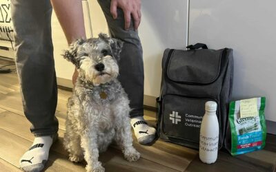 Soutient aux animaux de compagnie et à leurs propriétaires dans le quartier 12
