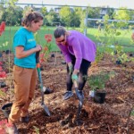 Stéphanie Plante et Aalya Helal Al Shehhi, chargée d'affaires à l’ambassade des Émirats arabes unis.
