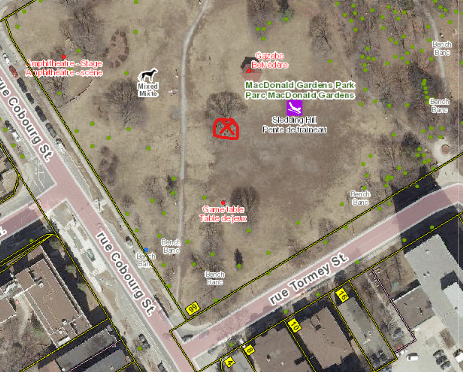 This map of MacDonald Gardens Park shows the Norway Maple at the base of the sledding hill is scheduled for removal.
