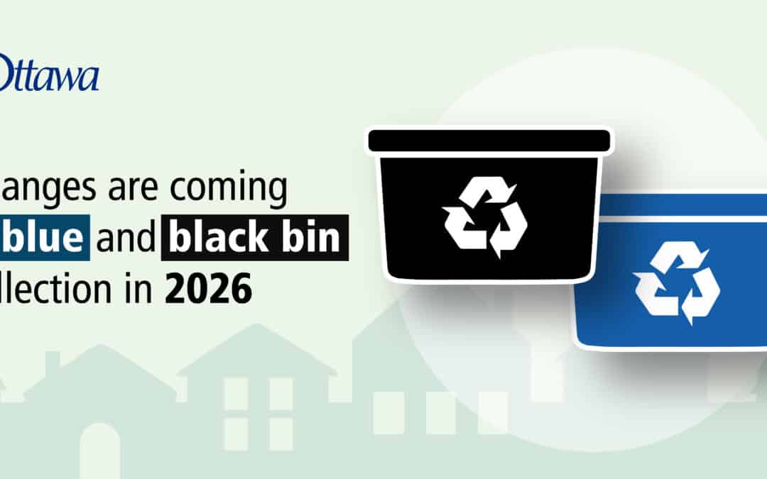 Update on Recycling Collection